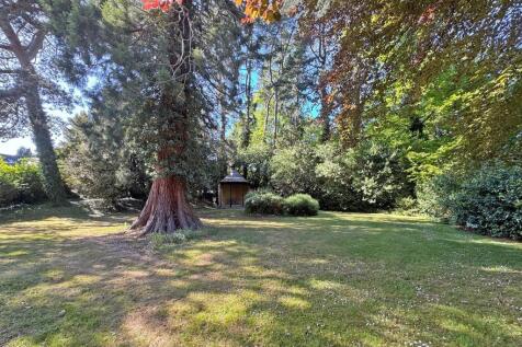 Property Image 23