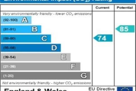 ENVIRONMENTAL IMPACT