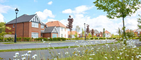 Modern residential houses with well-kept gardens on a sunny day with flowering plants in the foregro