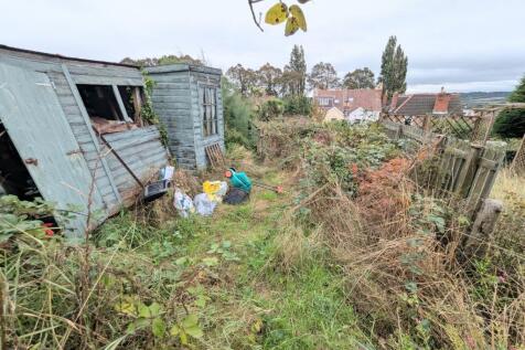 1000032737 T202509231607.jpg