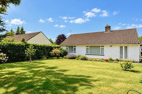 Oaks drive photo october (1)
