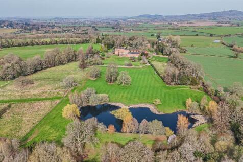DJI_20260305132333_0843_D.jpg