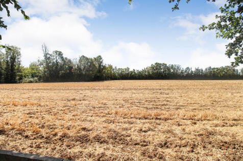 View over fields