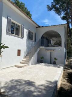 WhatsApp Image 2024-