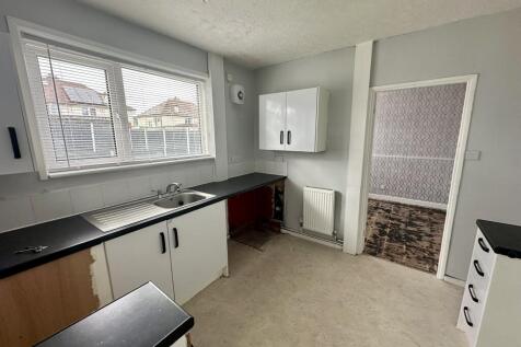 IMG 5002 T202602161818.jpeg