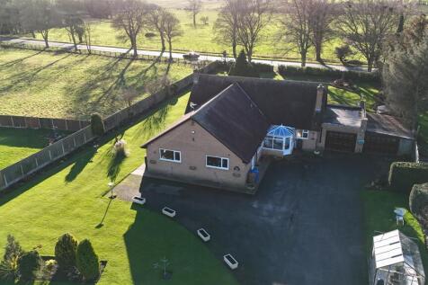 DJI_20260107125255_0081_D.JPG
