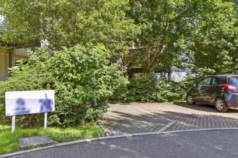 Driveway/Parking