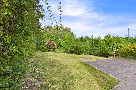 CAM01354G0-PR0548-STILL007