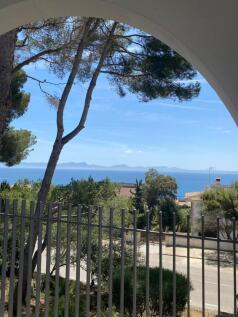 WhatsApp Image 2024-