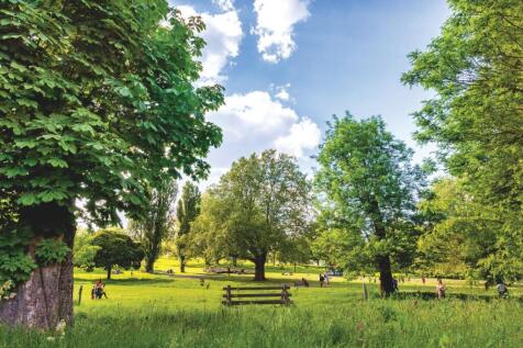 Brcokwell Park.jpg