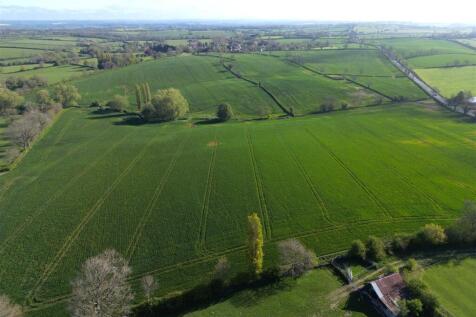 DJI_0330.JPG