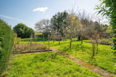 Orchard