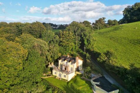 CreeksEnd2024Creek End (4)8.jpg