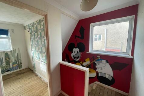 IMG 2446 T202512031417.jpeg