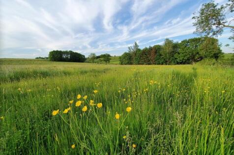 Grassland hay 3.jpg