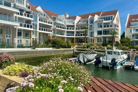 front aspect arrow shot.jpg