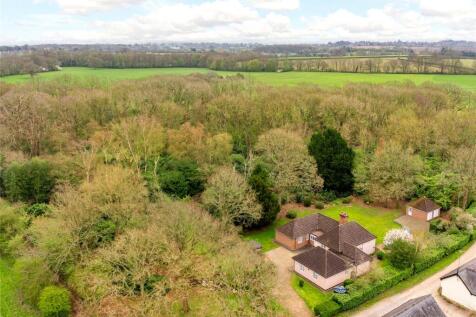 Aerial Woodland