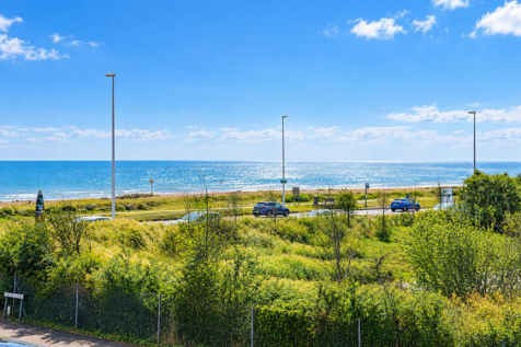 Coastal Road and Sparkling Sea.png