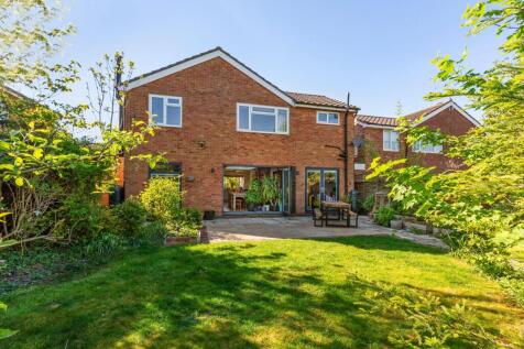 Property Image 14