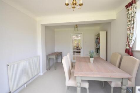 DSC_0347 - Copy (4).JPG