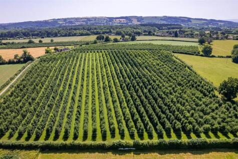 DJI_0407-2A.jpg