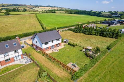 DJI_0203.jpg
