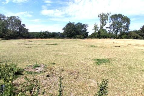 View over Paddock...