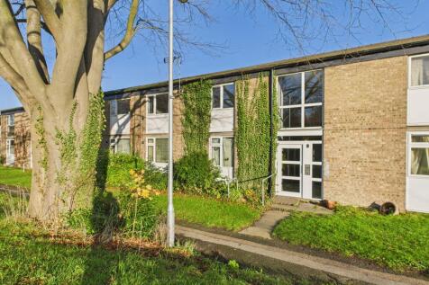 CAM02519G0-PR0369-STILL010