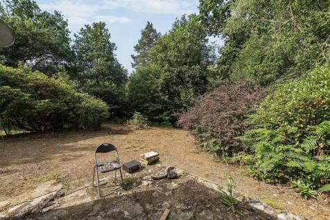 1317437-11-6867a13036f3f (2).JPG