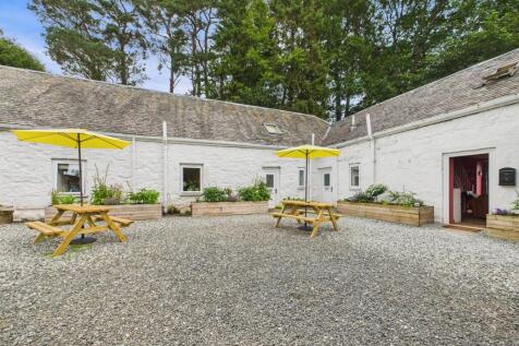 CAM03481G0-PR0115-STILL014