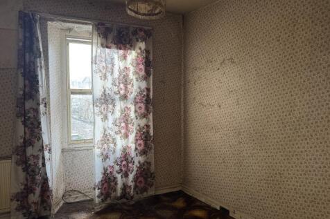 IMG 8770 T202510281145.jpeg