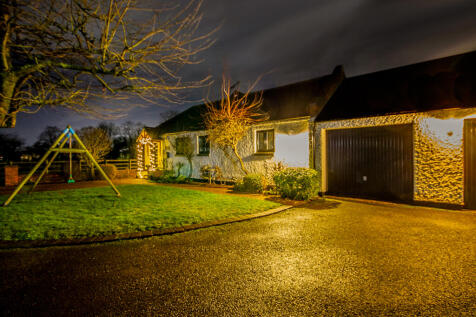 IMG_1181-Edit-2