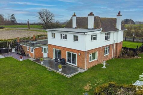 3251D33E-A9C4-4E91-955A-22450E3B29DD (Medium).jpg