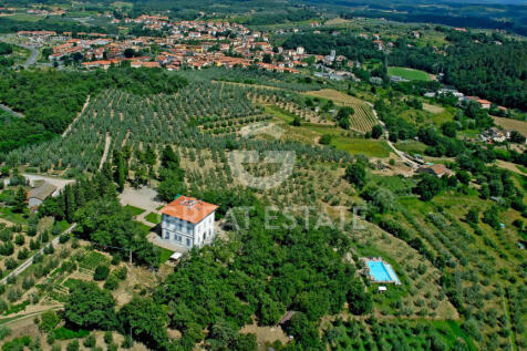 Panorama e Particolari