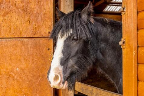 Ashton House (Kirton)-43.jpg