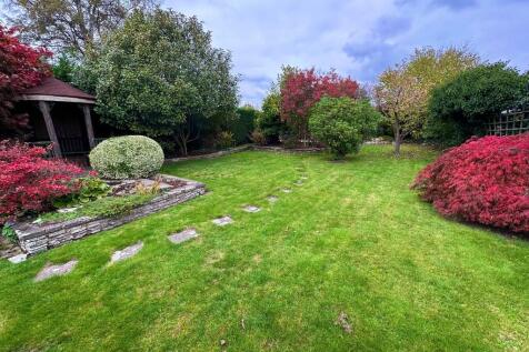 IMG-20251019-WA00...