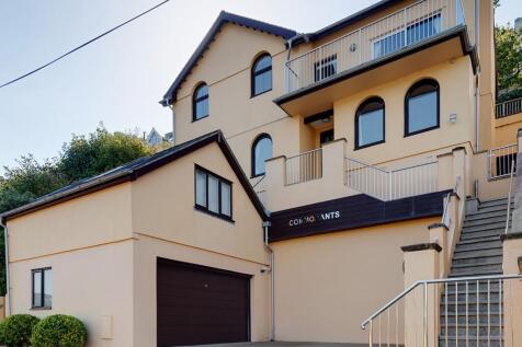Exterior - Cormorants, Kingswear