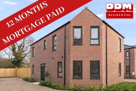 12 Months Paid