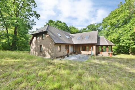Property Image 31