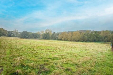 ALTERNATE VIEW OF GROUNDS