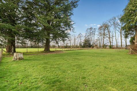 Garden/Orchard