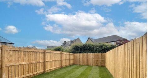 Back Garden