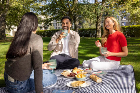 Picnic in gardens
