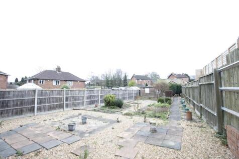 Garden .jpg