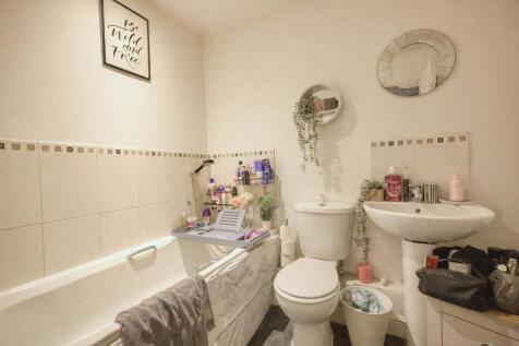 Picture 11