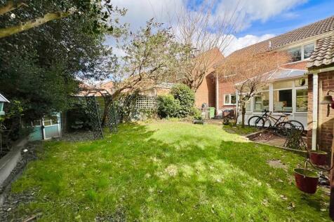 IMG-20250314-WA00...