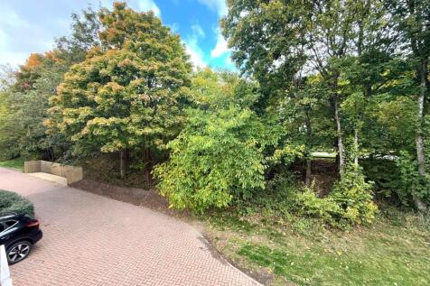 IMG-20251010-WA0038 copya.jpg