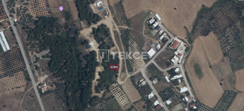 Property Image 9