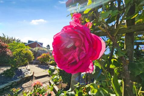 user_edited_photo-90621522_user-edited-6543348c-97