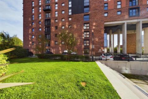 CAM01231G0-PR0080-STILL035